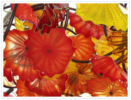 *Chihuly Flowers