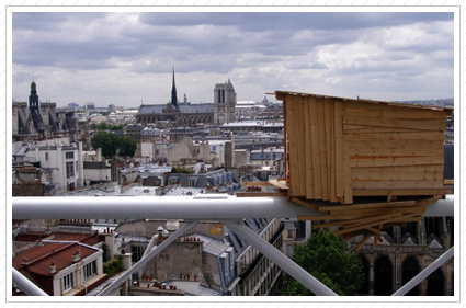 Paris View from the Pompidieu