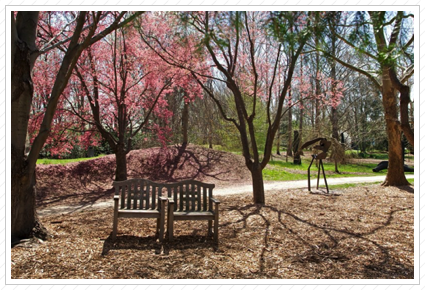 Bench, Grounds for Sculpture ©