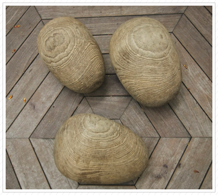 Wooden Eggs, Winterthur ©