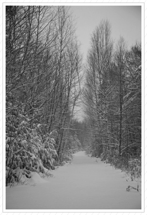 Snowy Path © copy