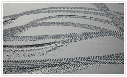 Tire Tracks in Snow II