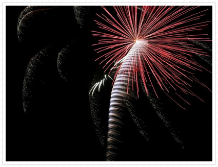 Fireworks #7 ©
