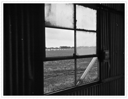 Cotton Modules from Barn Window, Griffin Cotton Co., Elaine, AR