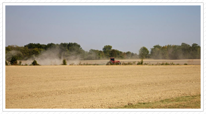 Tractor in Corn Field, MS  I